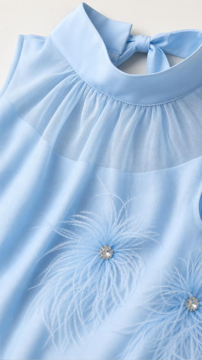 Close-up detail of mock neckline, sheer yoke, and crystal-accented feathers